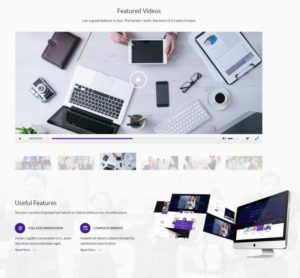 Professional Business Agency Web Templates PSD