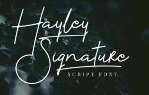 Hayley Signature Script Font-min
