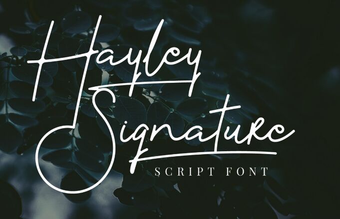 Hayley Signature Script Font-min