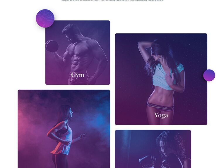 Alex GYM Fitness Landing Page Template-min
