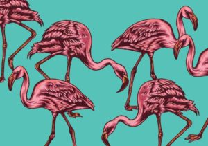 Flamingo Vector Set