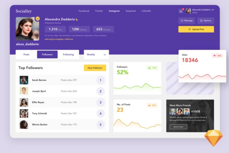 Minimal Social Dashboard Sketch Template