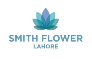 Modern Flower Logo Template Vector