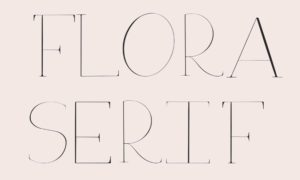 Modern Serif Display Font
