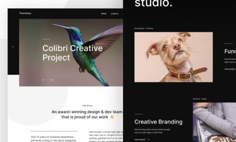 Portfolio Web Template For Figma