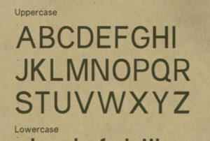 Prune Typeface