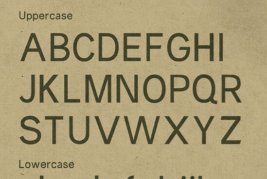 Prune Typeface