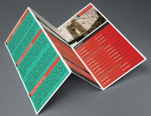 Modern Realistic Tri Fold Brochure Flyer PSD