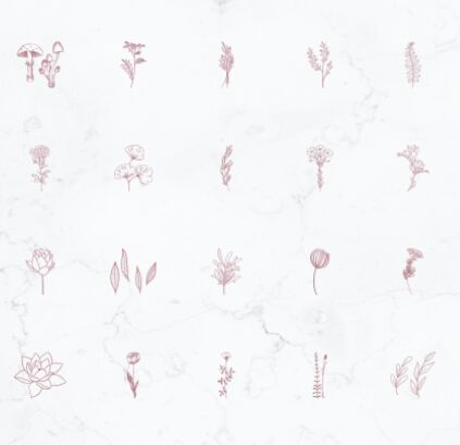 20 Botanical Instagram Highlight Covers Vector
