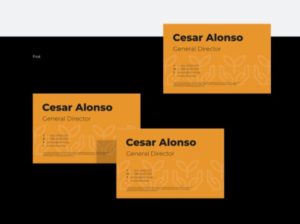 4 Fully Editable Business Card Mockups PSD