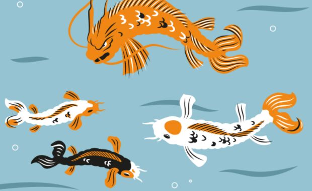 Koi Illustrations Pack