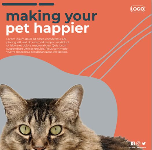 Pet Instagram Post Template PSD