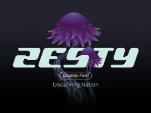 Zesty Display Font