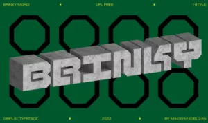 BRINKY MONO Display Font