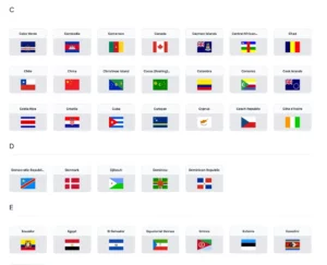 250+ Country Flags Figma