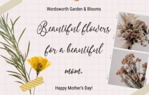 Simple Handmade Script Font