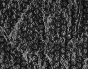 16 High Quality Textures