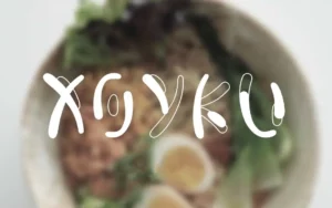 Xoyku Latin Font