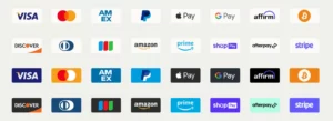 16 Payment and Checkout Vendor Icons (2 Styles)