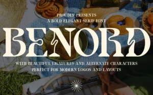 Bold Elegant Serif Font