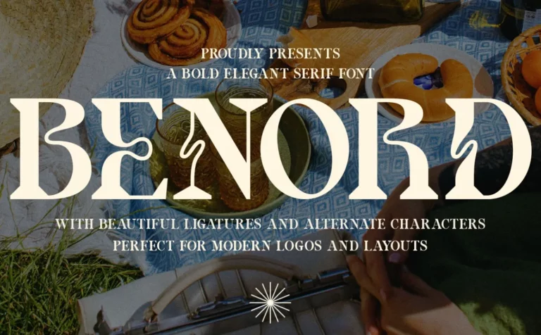 Bold Elegant Serif Font