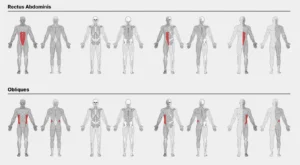 Human Anatomy Illustrations Pack
