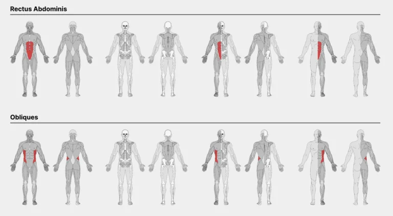 Human Anatomy Illustrations Pack