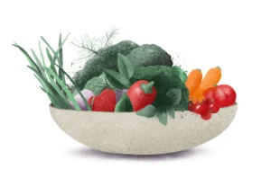 Water Vegetables & Leaves Illustrations Pack