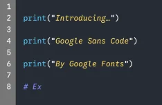 Google Sans Code Font