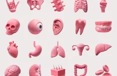 20 Free Human Organ Clay Icons